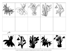 Schattenbilder-Schneeglöckchen-1.pdf